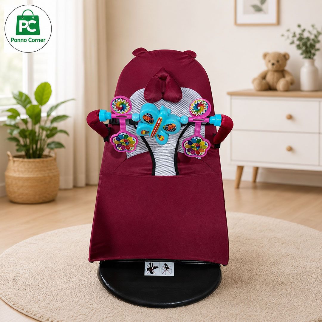 baby bouncer 3