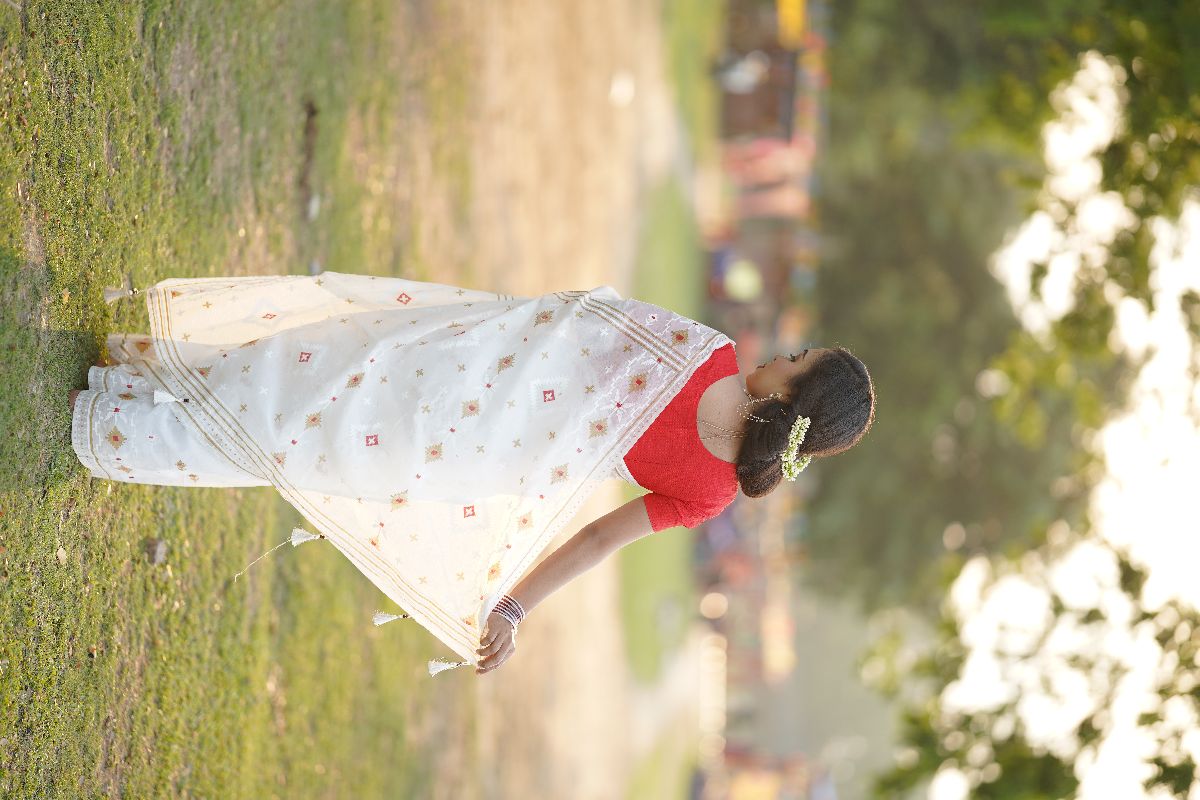 Afsana print shari 2