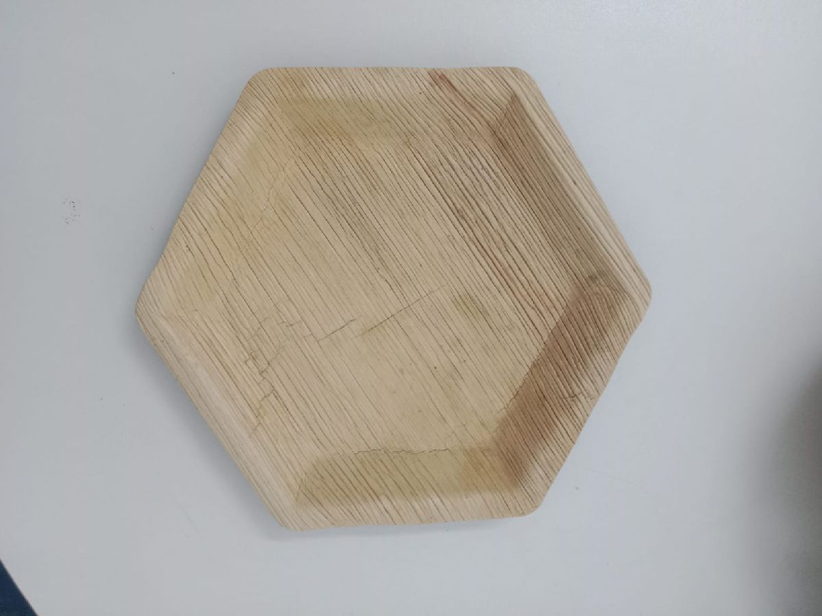 Octagon Plate 2