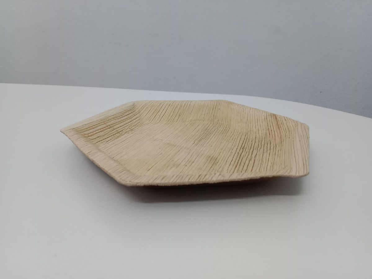 Lunch Tray — 10×6 Inch 2