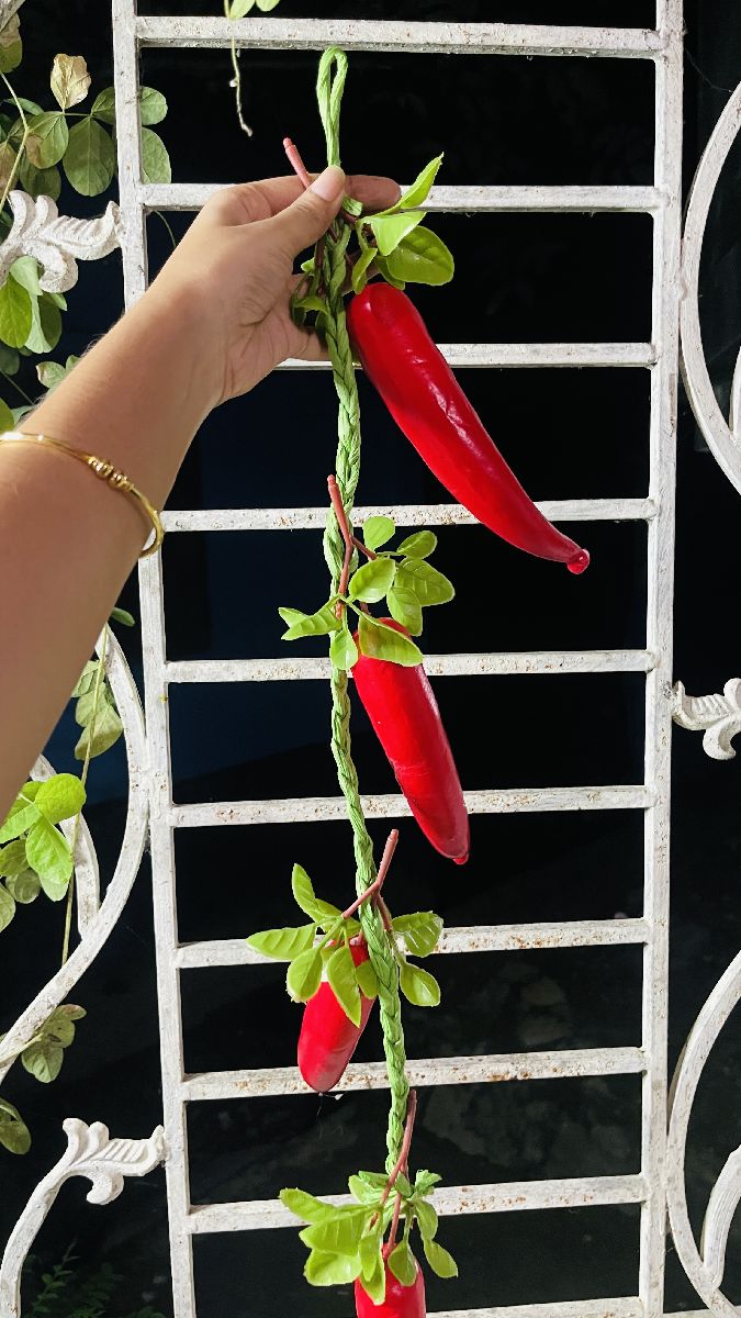 পেয়াজ,রসুন,মরিচের স্টিক 3