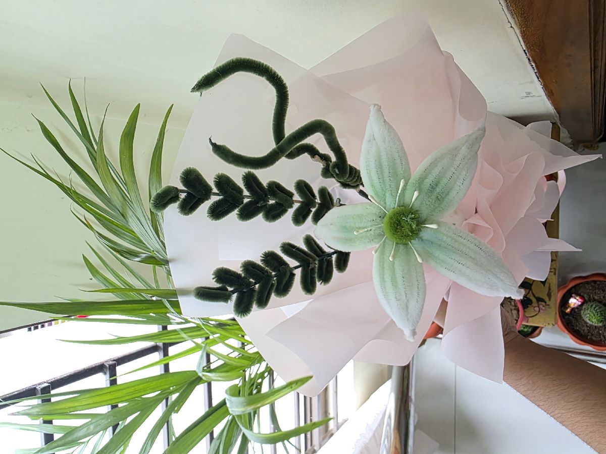 flower bouquet