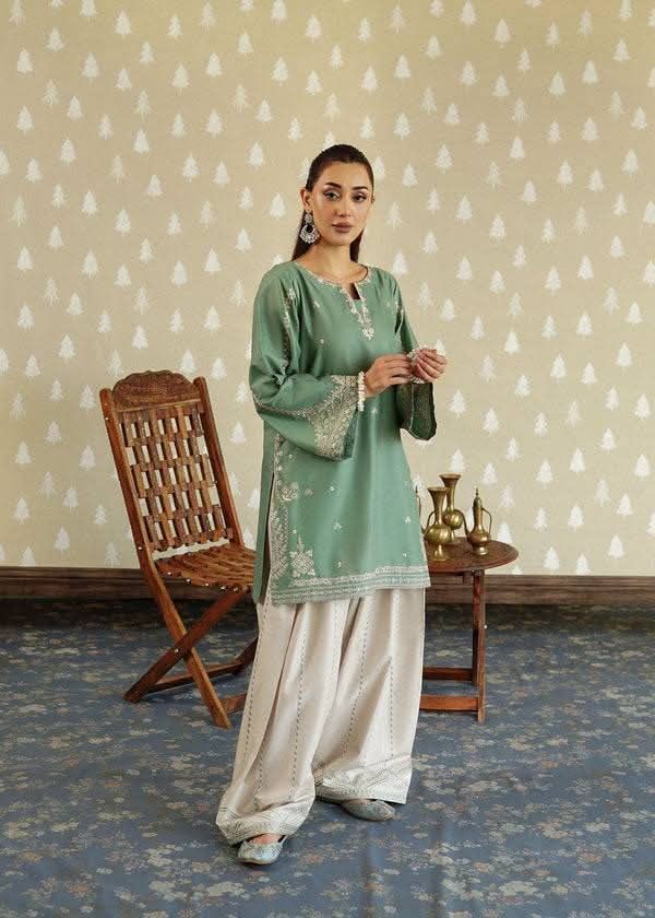 Pakistani inspired Farshi
