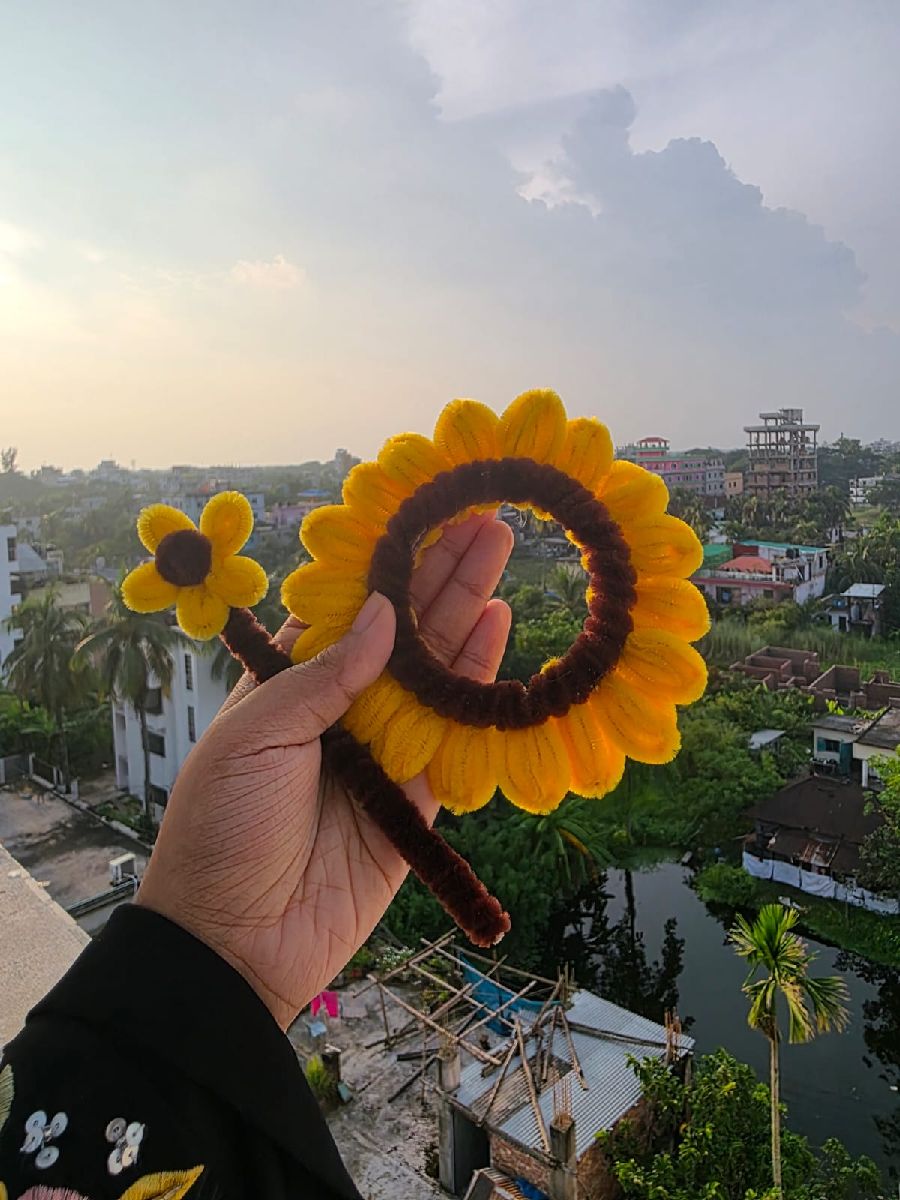hair clip 2