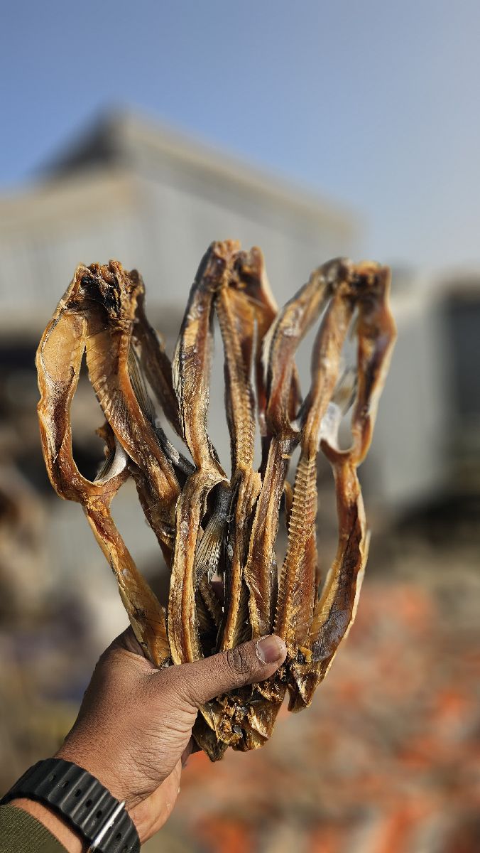 লইট্টা পেটকাটা শুঁটকি – বড় সাইজ