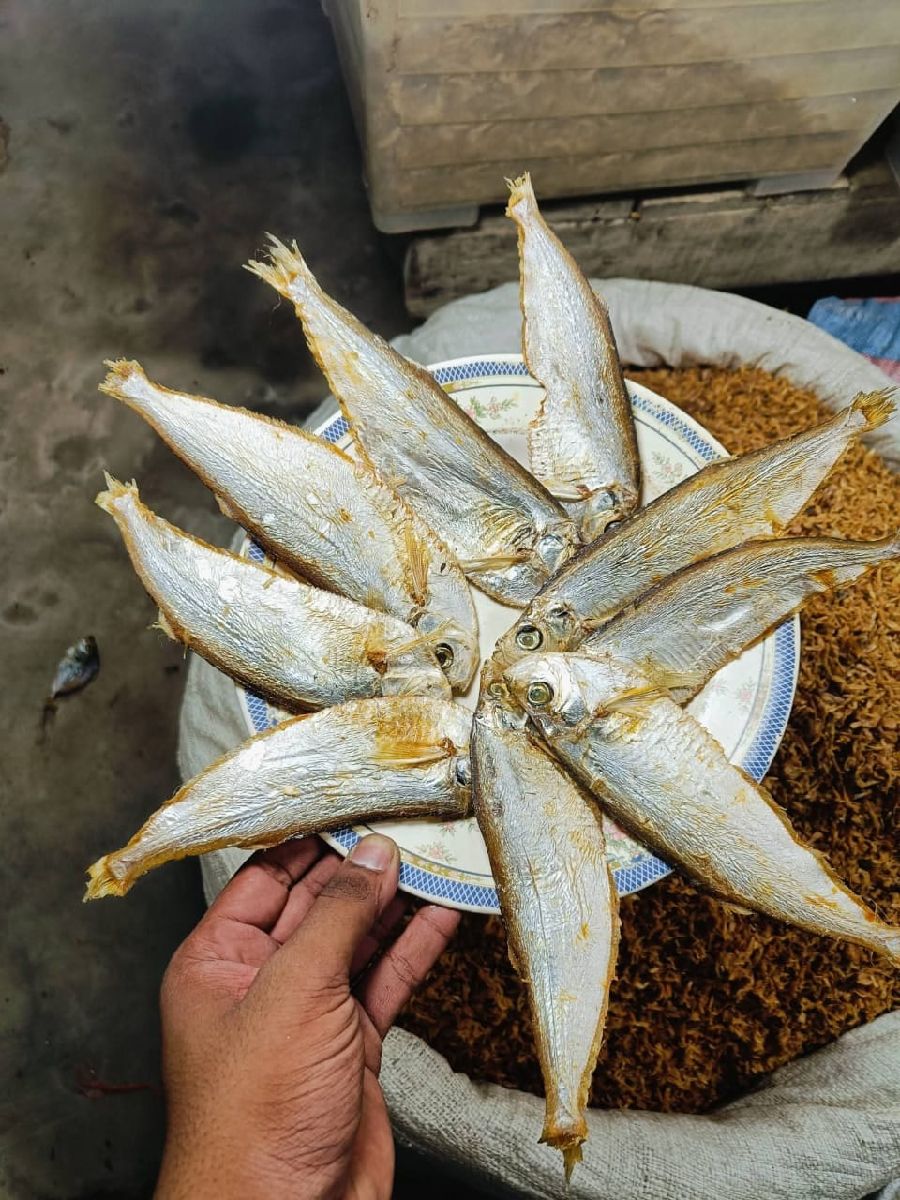 বাসপাতা শুঁটকি – বড় সাইজ