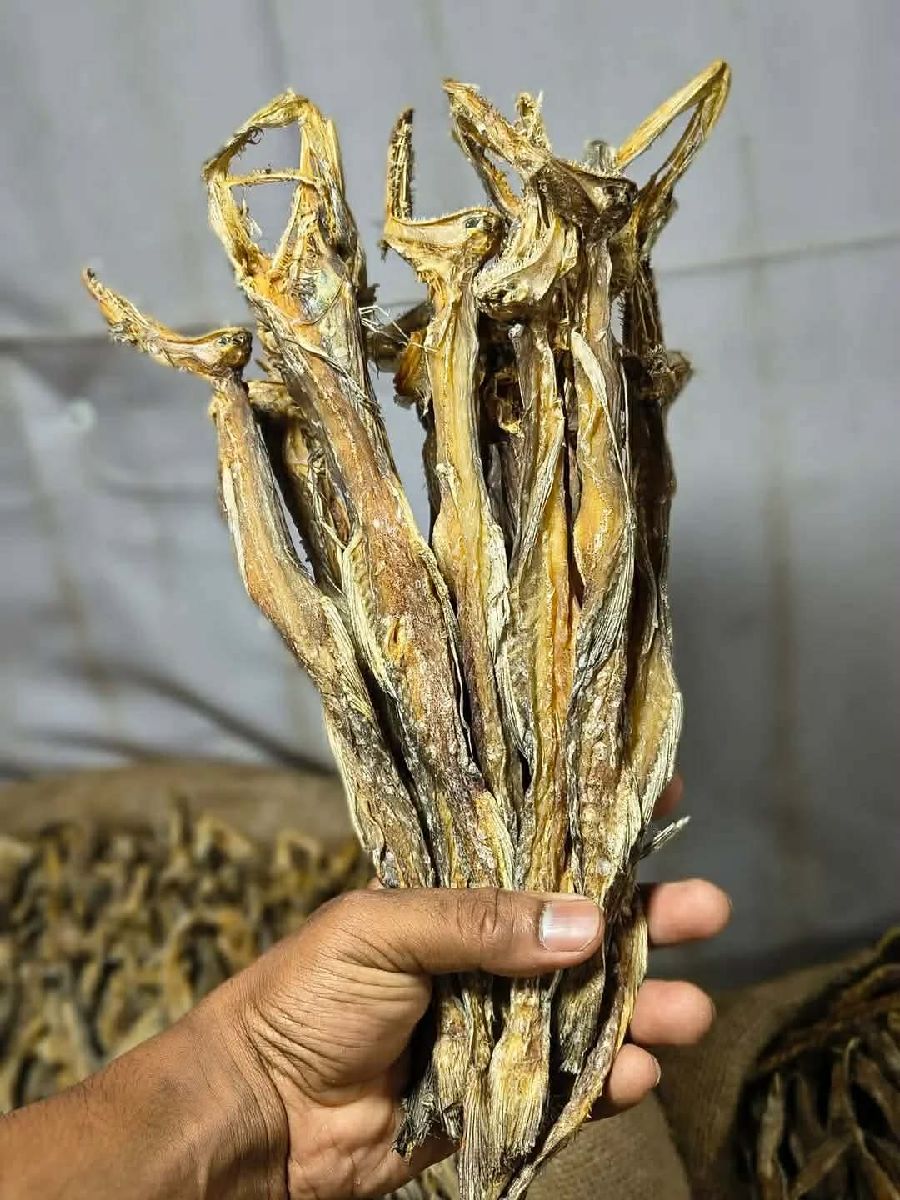 লইট্টা শুঁটকি – মোটা বড় সাইজ 2