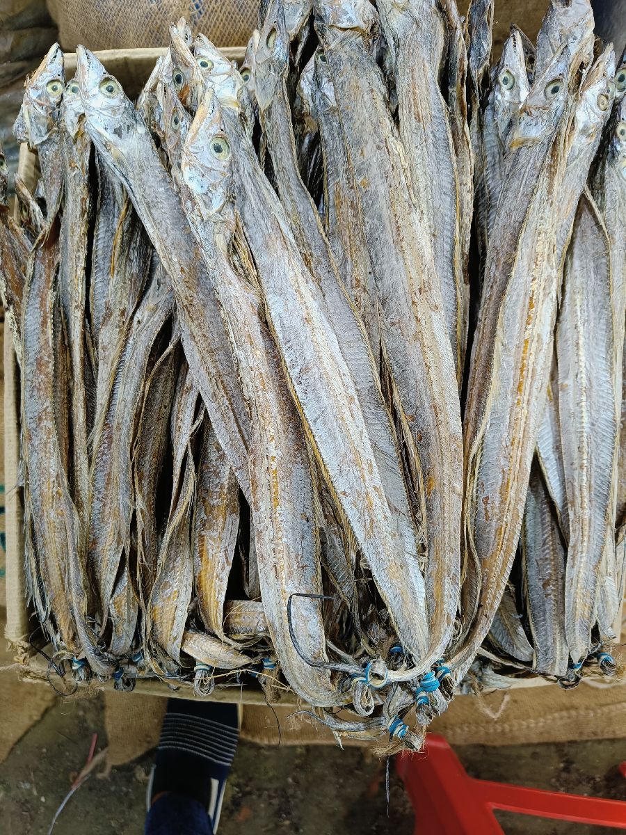 ছুরি শুঁটকি – বড় সাইজ 2