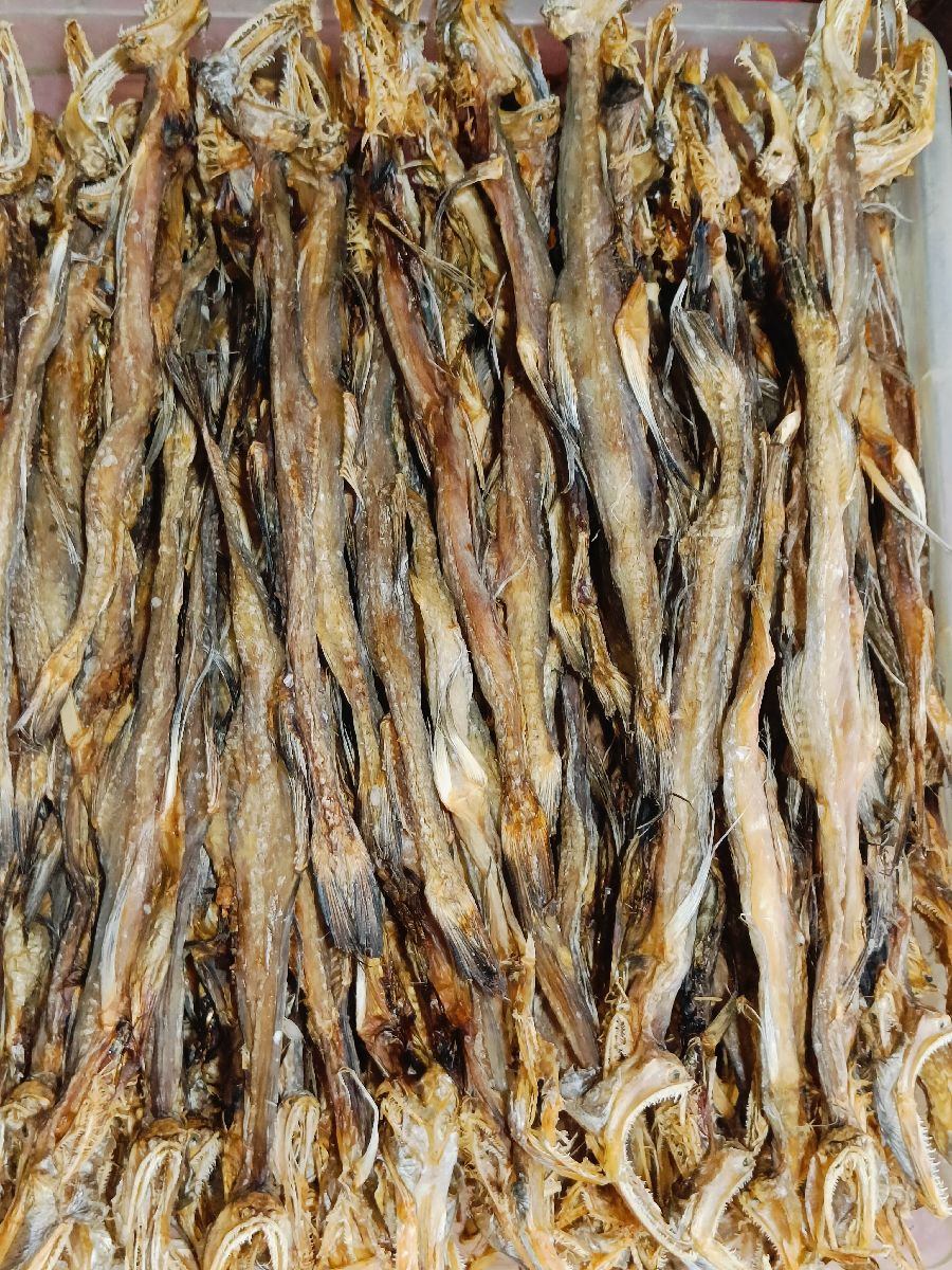 লইট্টা শুঁটকি – মাঝারি সাইজ দেশি 2