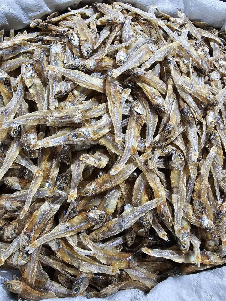চ্যালা মলা শুঁটকি 2