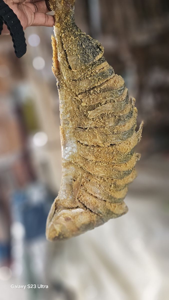 নোনা ইলিশ – বড় সাইজ 2