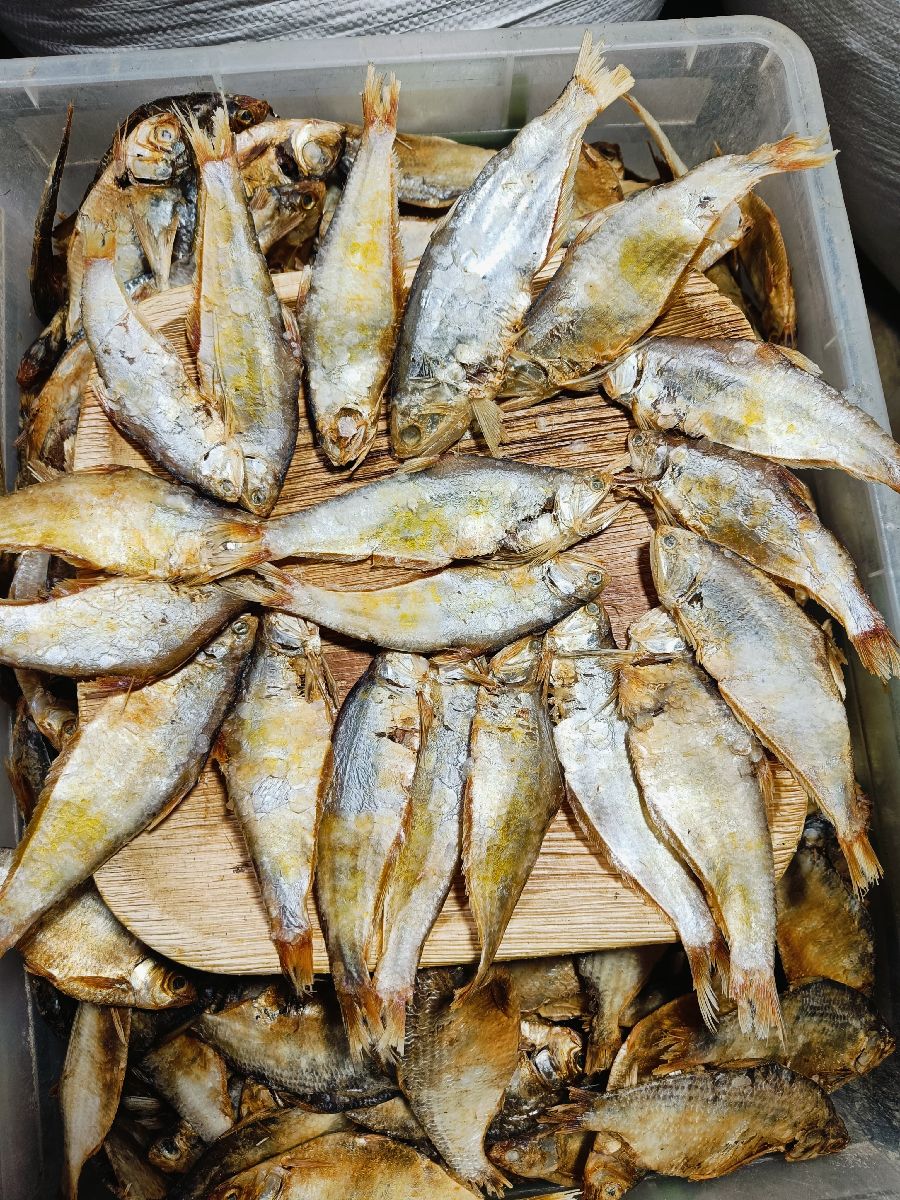 সামুদ্রিক বাসপাতা শুঁটকি – বড় সাইজ