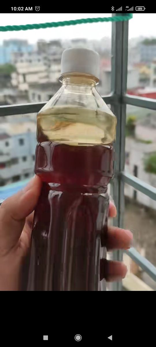 কালোজিরা ফুলের মধু 2