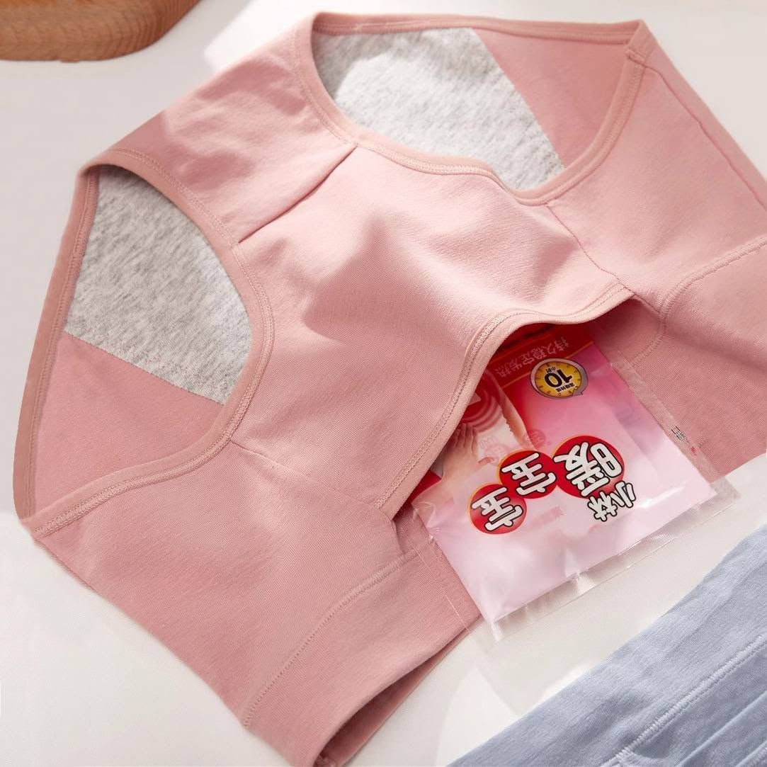 Period Panty 2