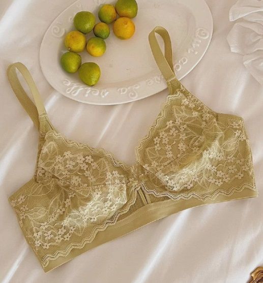Net Style Bra 2