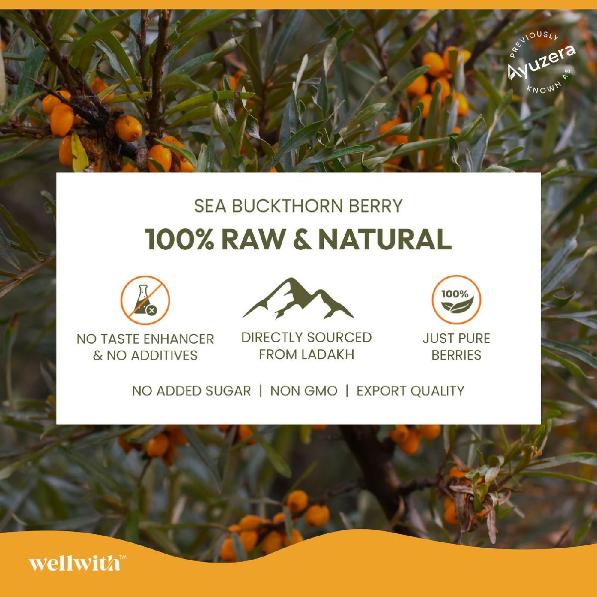 SEA BUCKTHORN JUICE (PULP) 300 ML 3