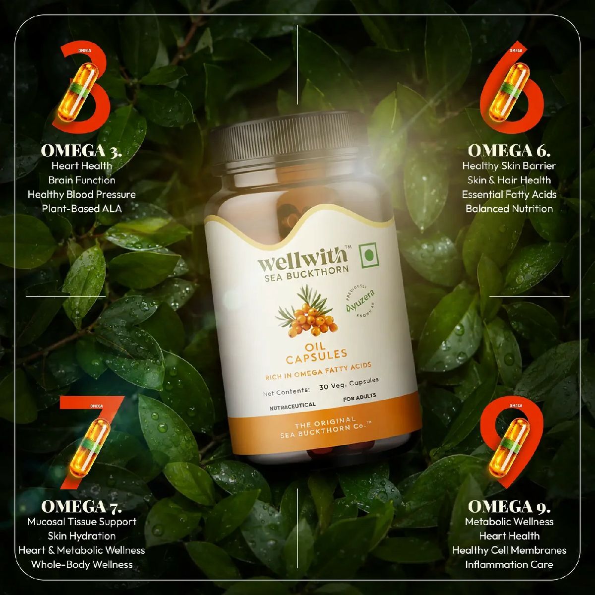 Omega 7 Sea Buckthorn Oil Capsules | For Skin, Mucosal Tissue And Heart Health 3