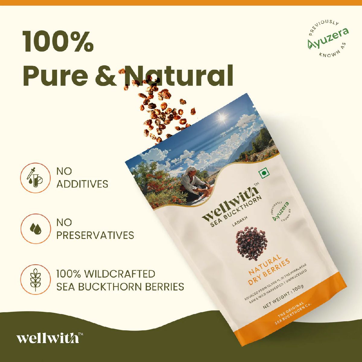 Sea Buckthorn Dry Berry 100gm 2