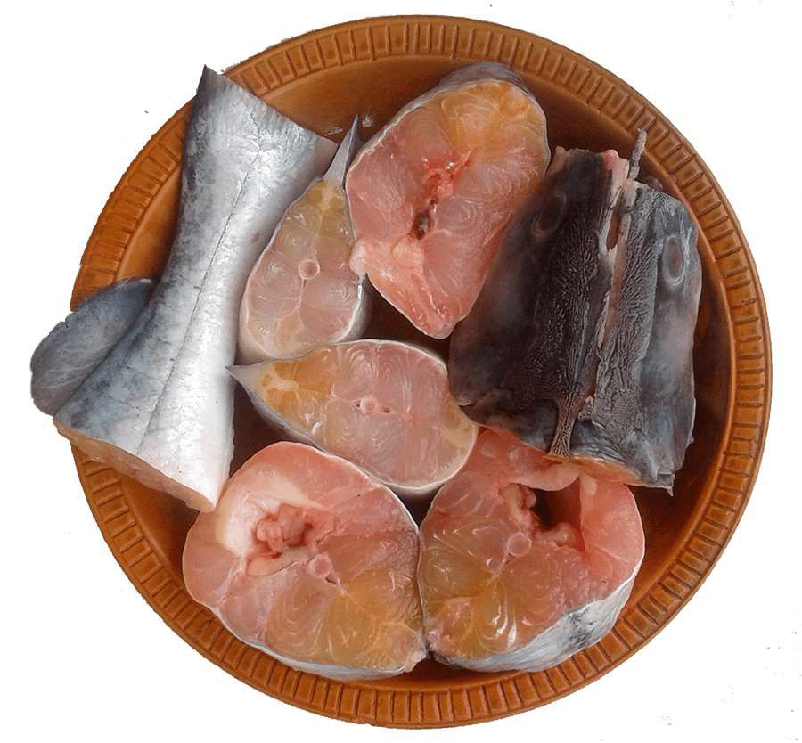 আইর মাছ