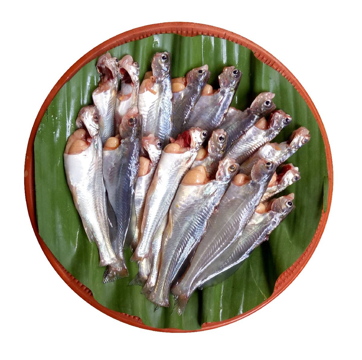 ট্যাংরা মাছ