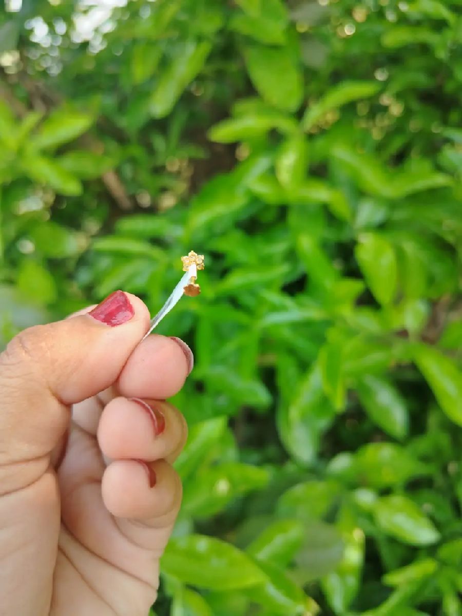 golden flower nose pin with shinny white stones 3