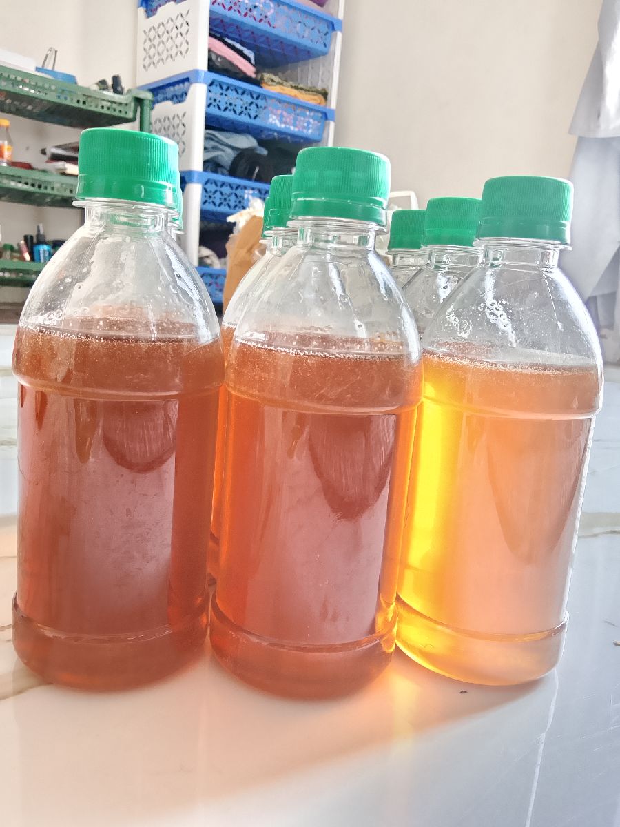 সুন্দরবনের প্রাকৃতিক চাকের মধু 🍯 2